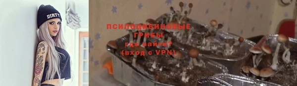 a pvp Алексин