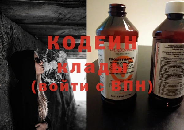ПСИЛОЦИБИНОВЫЕ ГРИБЫ Алзамай