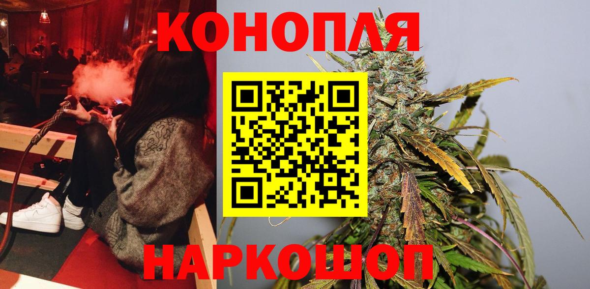 Бошки Шишки планчик Бийск